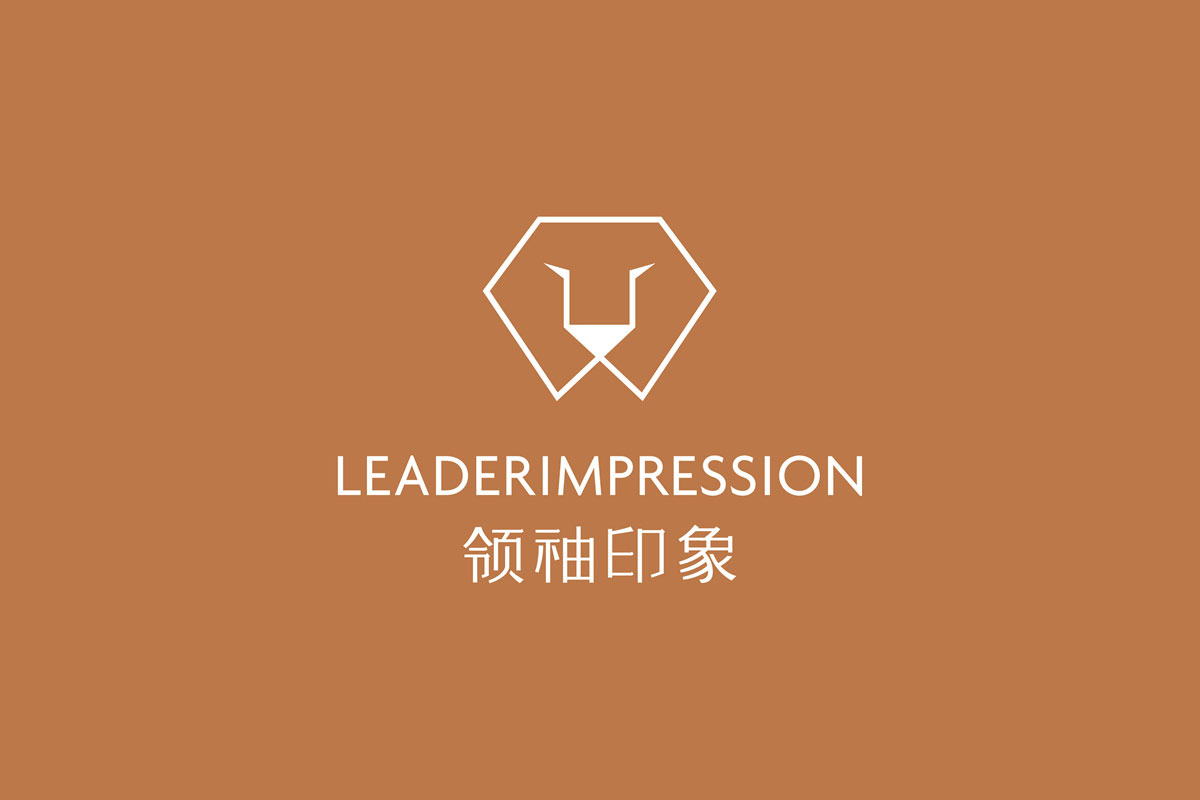 领袖印象