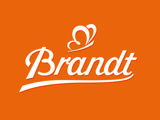 Brandt标志设计含义及设计理念