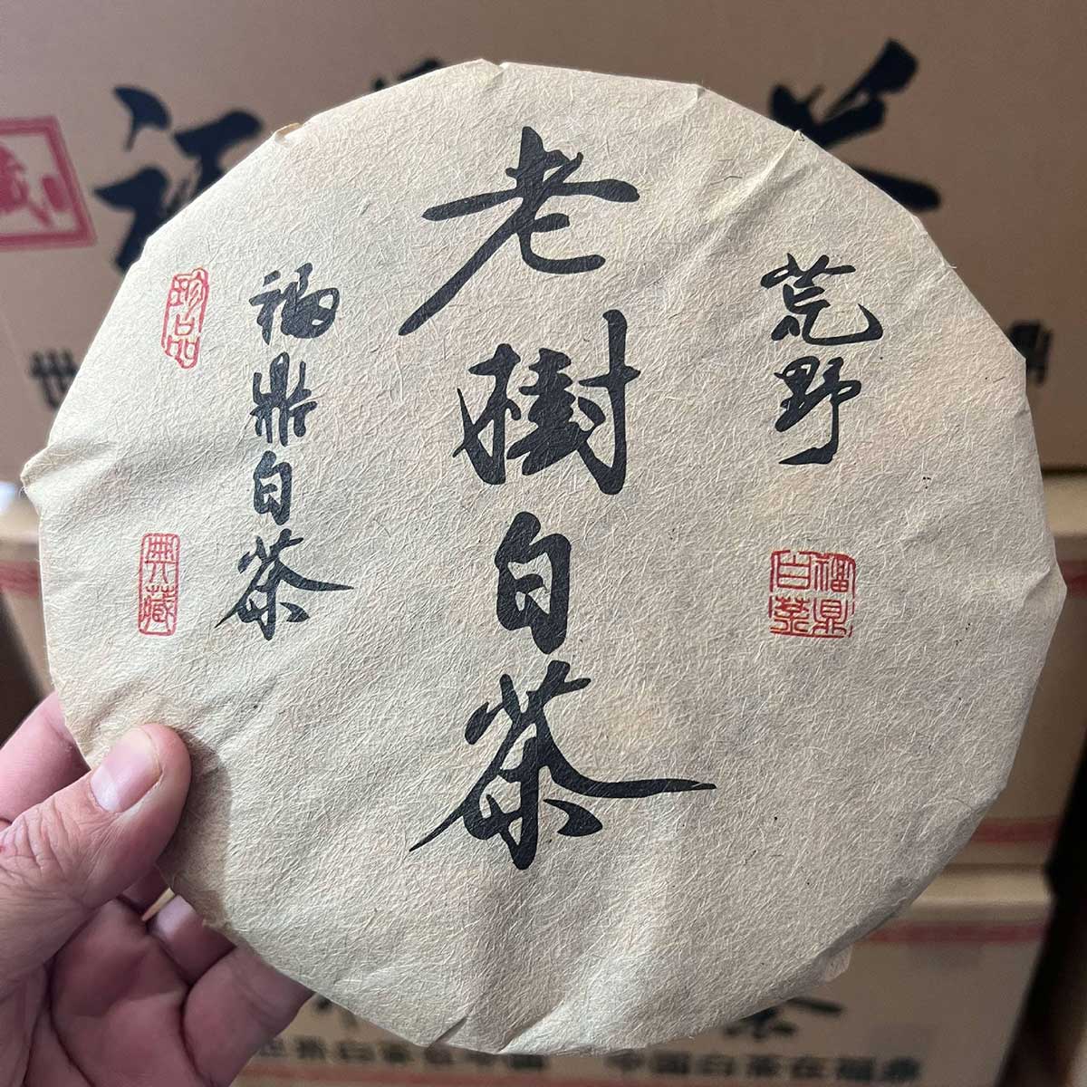 福鼎白茶茶饼图片