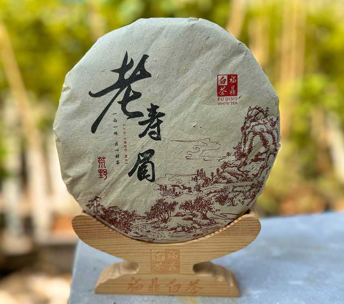 福鼎白茶茶饼图片