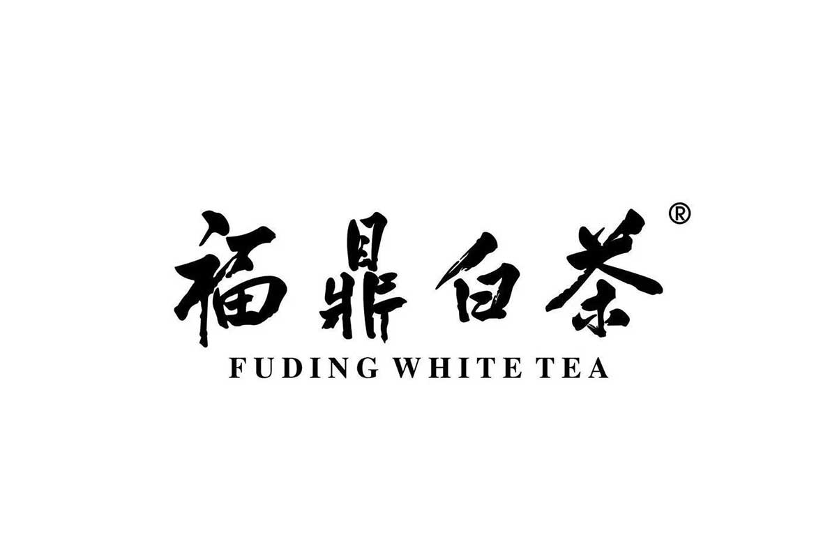 福鼎白茶logo图片