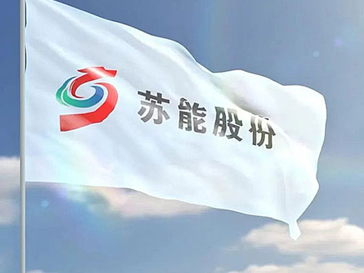 苏能股份标志设计含义及logo设计理念