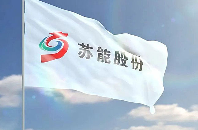 苏能股份