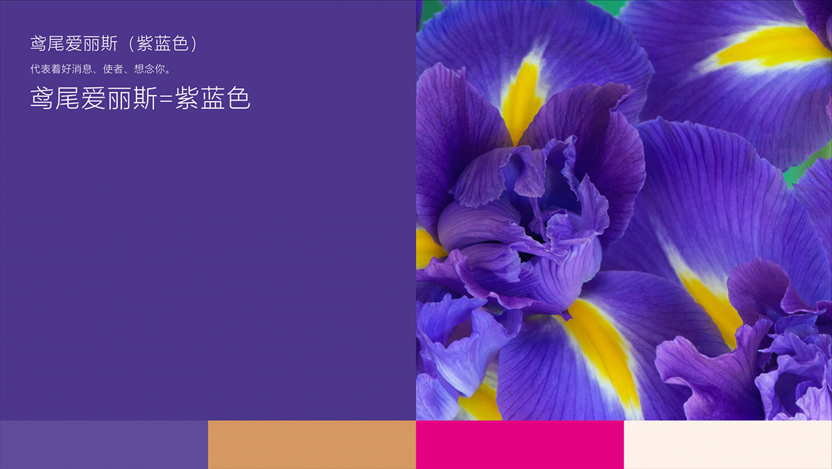 爱丽斯星宴会