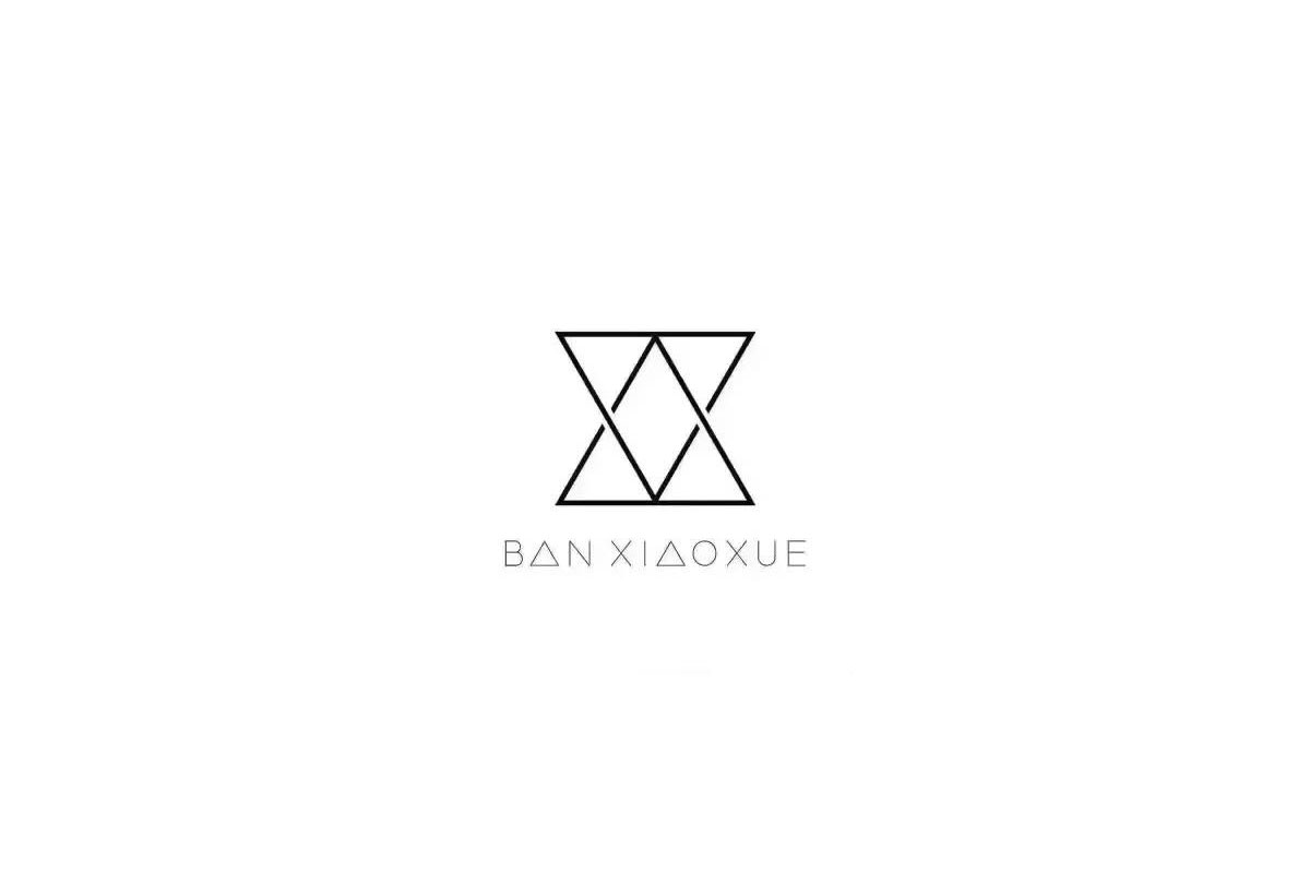 班晓雪女装品牌标志设计图片，BAN XIAOXUE女装品牌logo设计图片