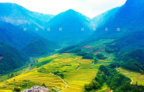乡意浓农业