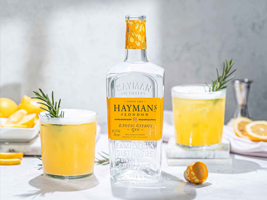 Hayman's海曼金酒logo设计含义及洋酒品牌设计理念