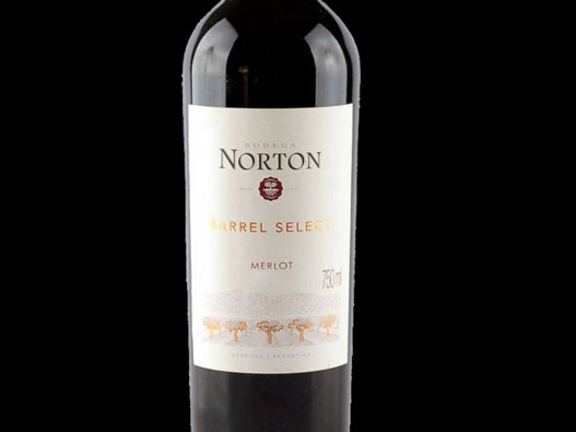 Norton诺顿logo设计含义及葡萄酒品牌设计理念