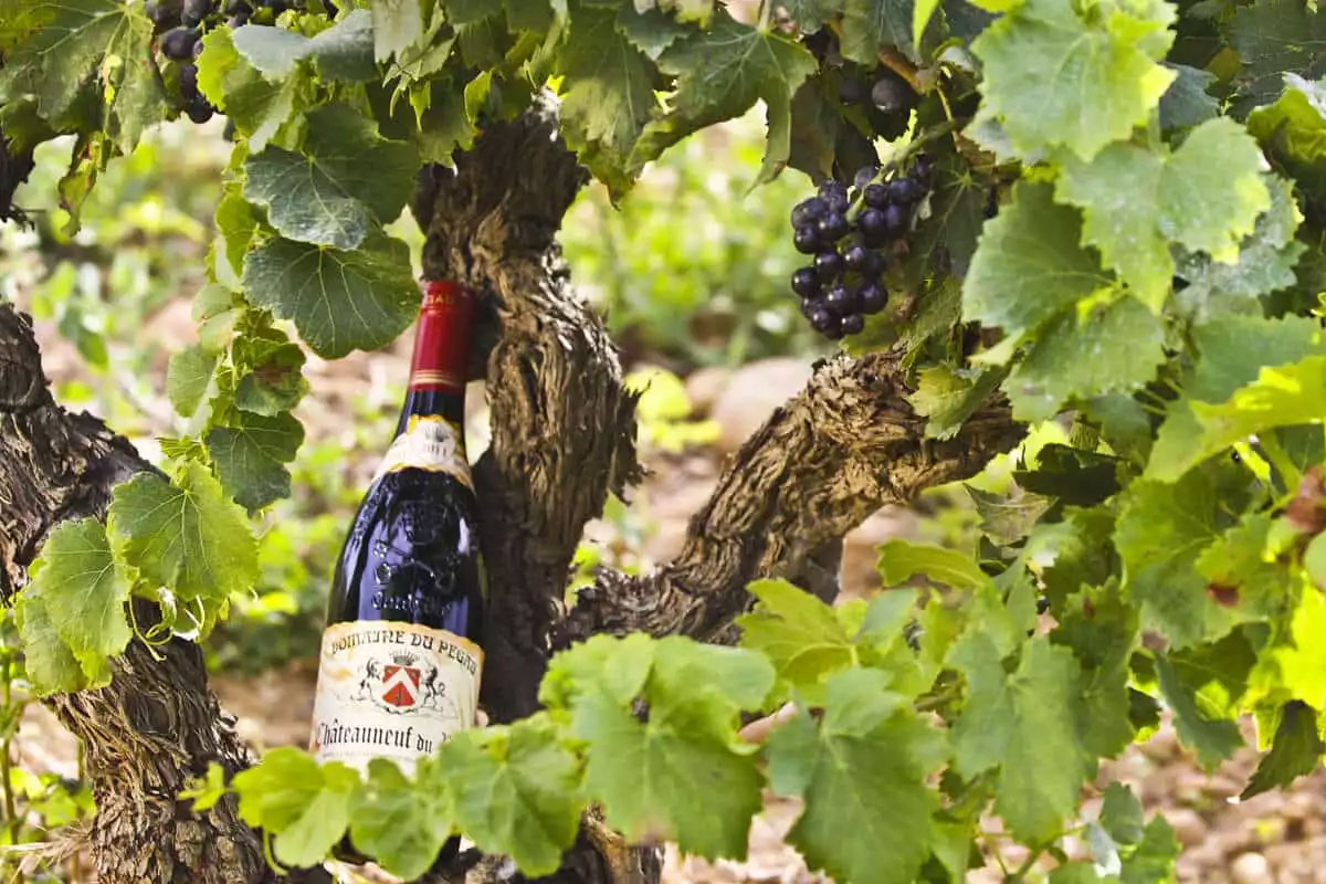 Domaine du Pegau佩高酒庄包装