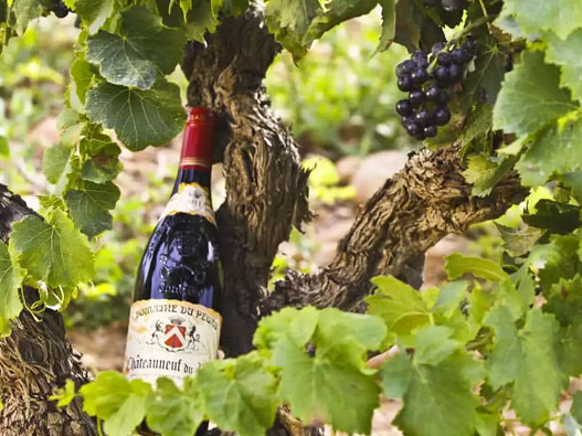 Domaine du Pegau佩高酒庄logo设计含义及威士忌品牌设计理念