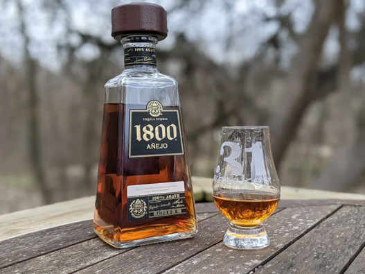 1800龙舌兰酒logo设计含义及龙舌兰酒品牌设计理念
