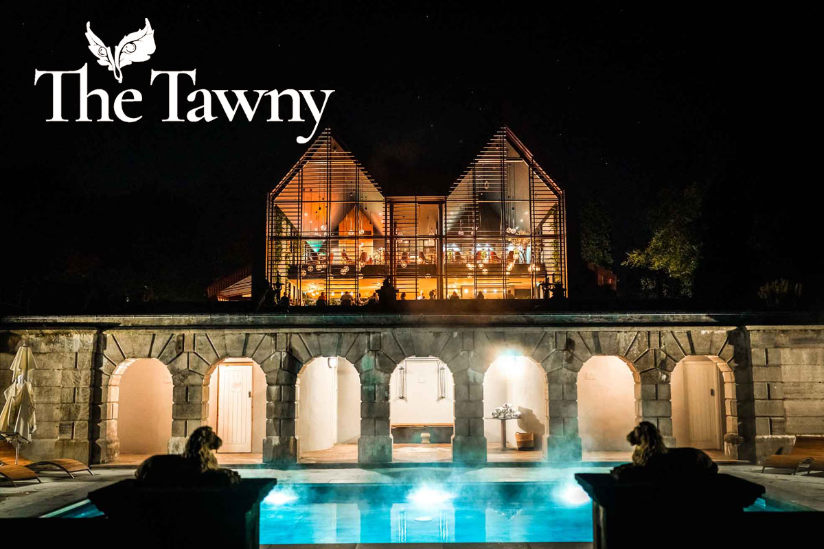 The Tawny标志设计含义及酒店品牌设计理念