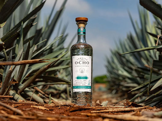 Tequila Ocho田园8号logo设计含义及龙舌兰酒品牌设计理念