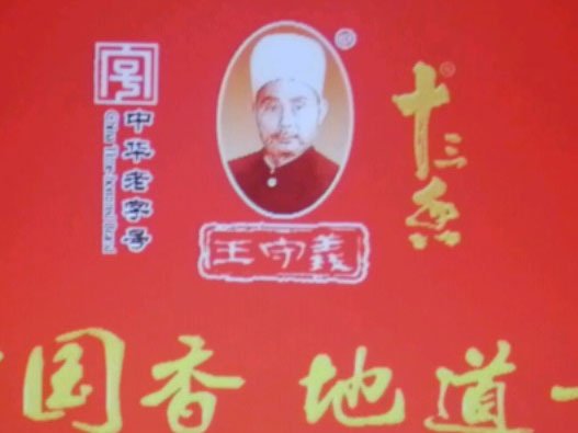 王守义logo设计含义及调味品品牌设计理念