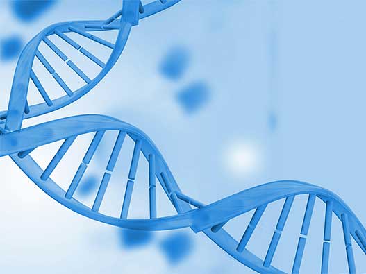 基因商标分类属于第几类-基因检测商标注册属于哪一类？