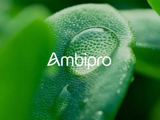 Ambipro环境工程公司品牌形象VI设计