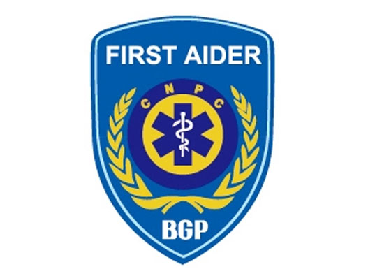 中油集团勘探部急救员盾牌logo设计