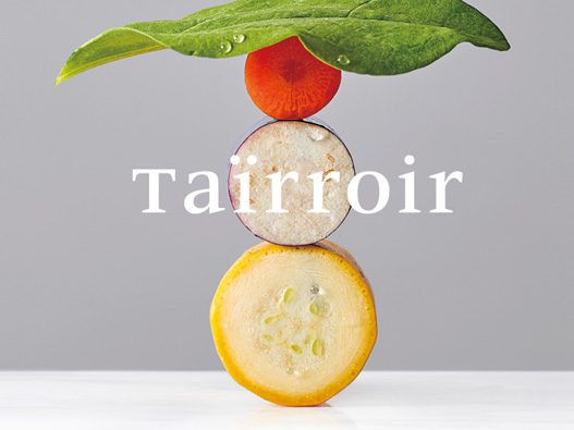 Taïrrior标志设计含义及logo设计理念