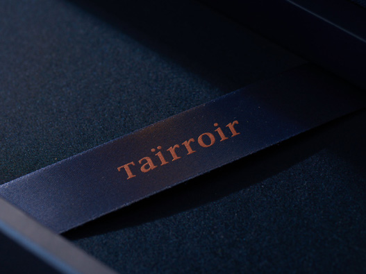 Taïrrior logo设计图片