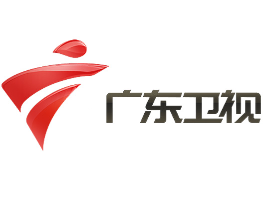  广东卫视设计含义及logo设计理念