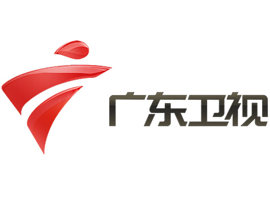 广东卫视logo