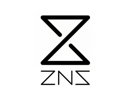 ZNS logo设计图片