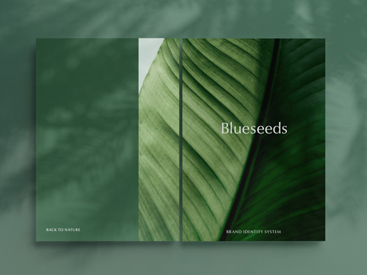 Blueseeds logo设计图片