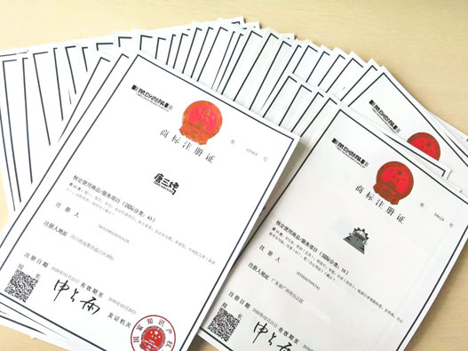 商标驳回全解析：商标驳回复审流程与提高成功率的秘诀