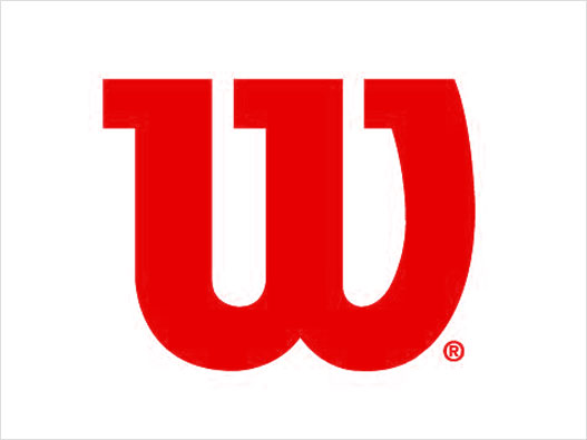 威尔胜logo设计含义及设计理念