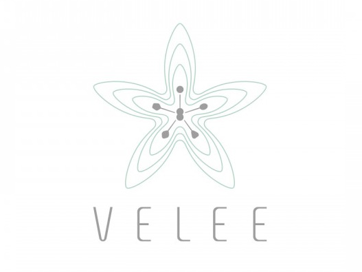 VELEE  logo设计图片