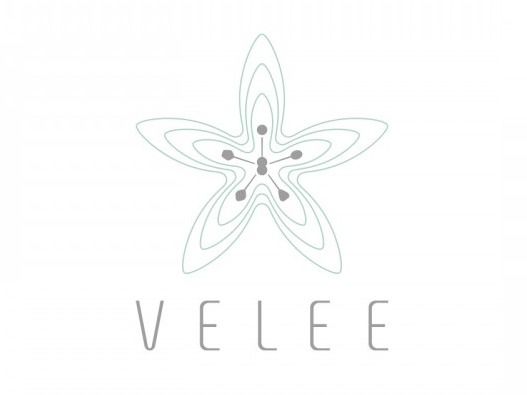 VELEE  logo设计图片