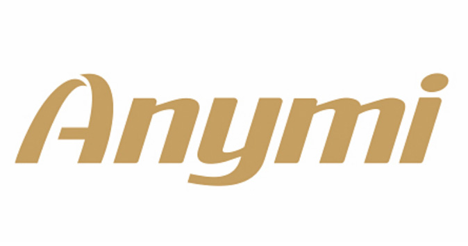ANYMI标志设计含义及logo设计理念