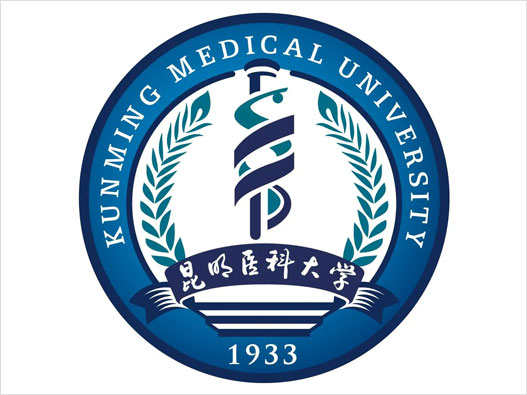 昆明LOGO设计-昆明轨道交通品牌logo设计