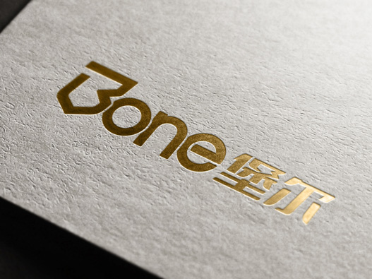 堡尔logo设计图片