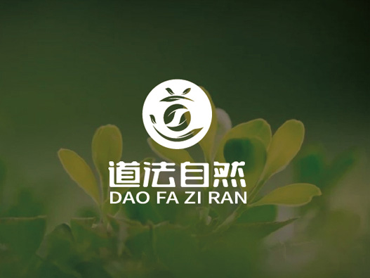 道法自然标志设计含义及logo设计理念