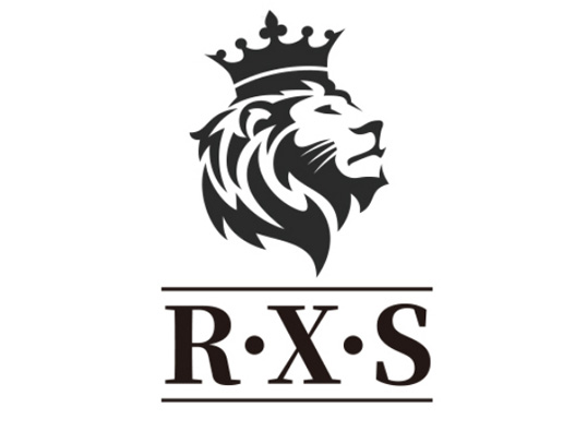 RXS箱包标志设计含义及logo设计理念