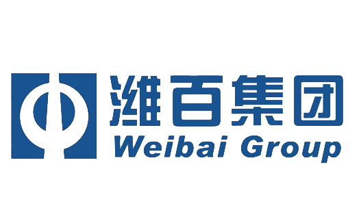 潍百集团设计含义及logo设计理念