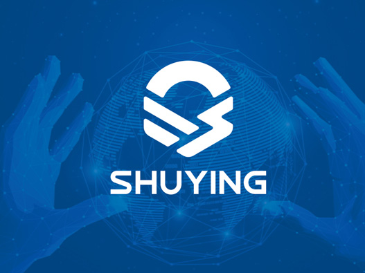 数影科技logo设计图片