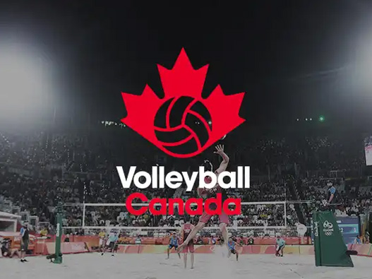 加拿大排排球协会标志图片
