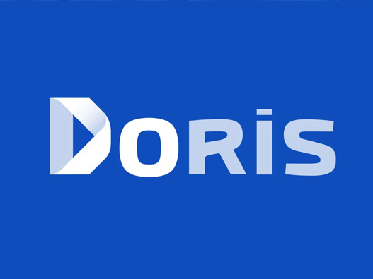 DORIS logo