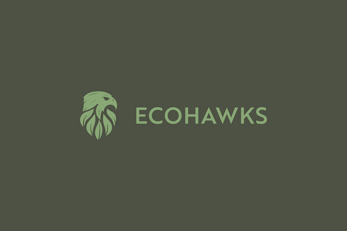 Ecohawks品牌VI