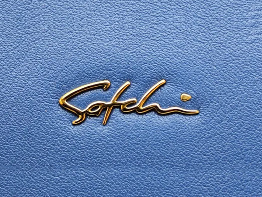 沙驰logo设计含义及休闲鞋品牌标志设计理念