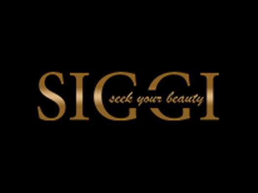 SIGGI标志
