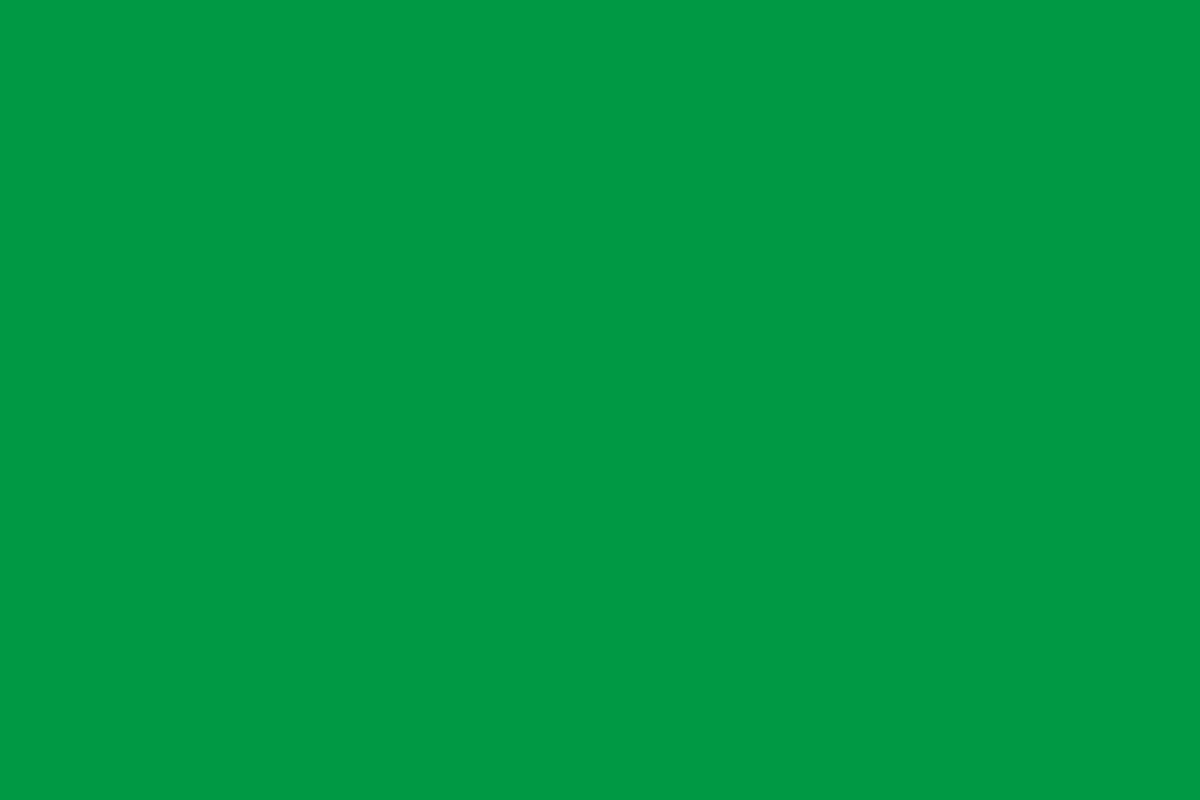 南繁种业研究所logo设计