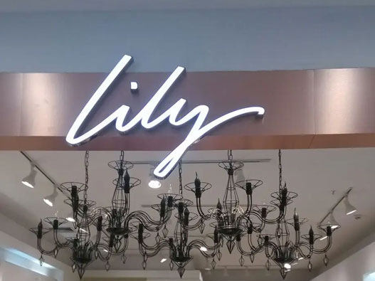 LILY标志图片