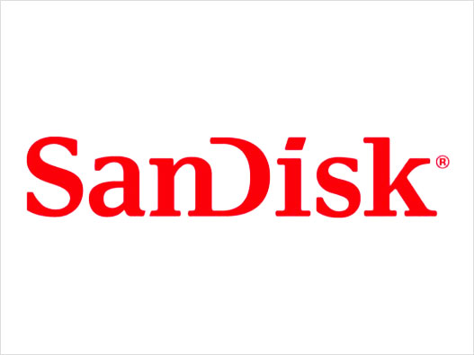 SanDisk闪迪logo