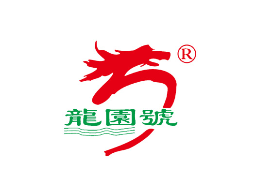 龙园号logo设计图片