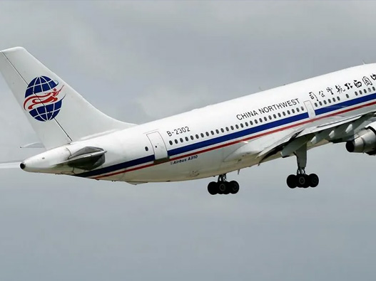 西北航空logo设计图片