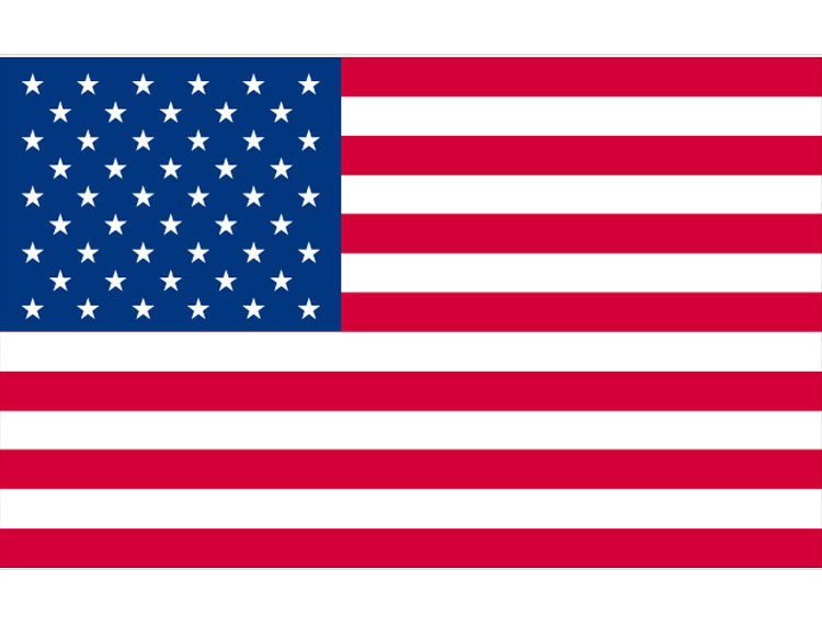 美国国旗LOGO设计-美国世界杯品牌logo设计