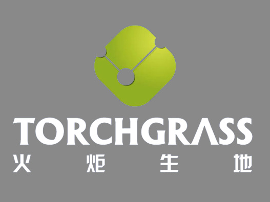 北京火炬logo设计含义及人造草坪标志设计理念